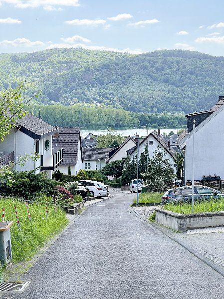 Rheinblick   tolles Baugrundstück in exponierter Lage zwischen Rhein und Weinbergen!