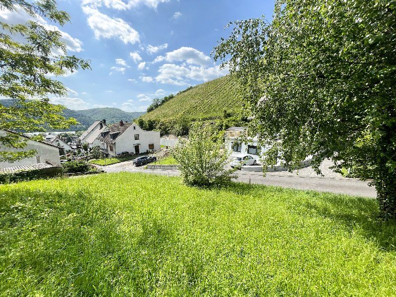 Rheinblick   tolles Baugrundstück in exponierter Lage zwischen Rhein und Weinbergen!