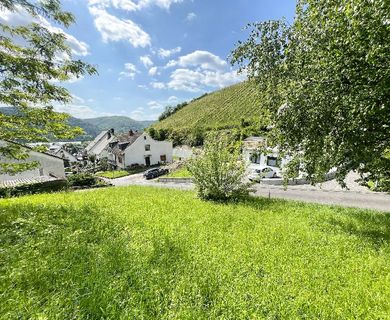 Rheinblick   tolles Baugrundstück in exponierter Lage zwischen Rhein und Weinbergen!