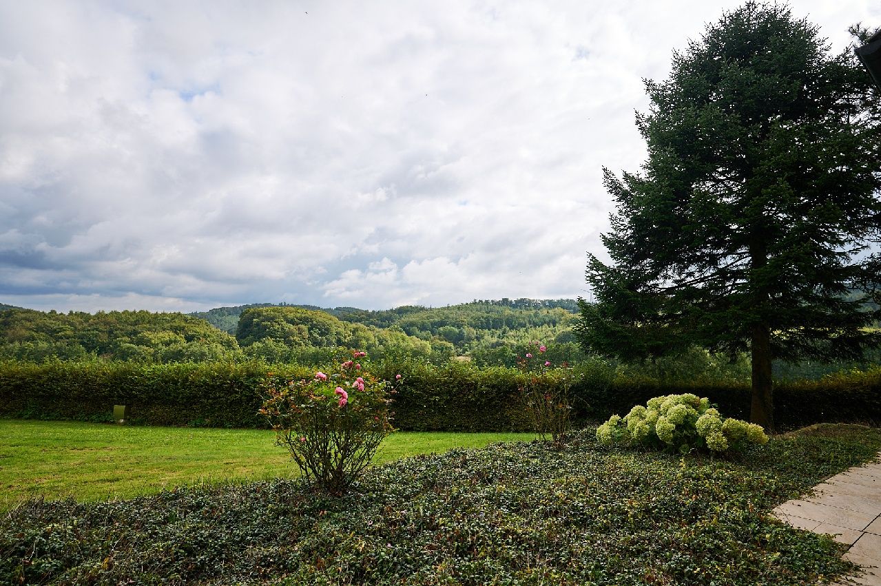 Ausblick auf Wald und Wiesen