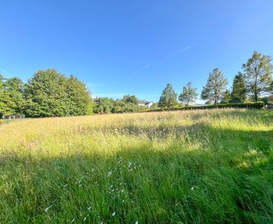 Bauplatz für ein Ein- oder Zweifamilienhaus! Nur 4 km von Hachenburg entfernt.